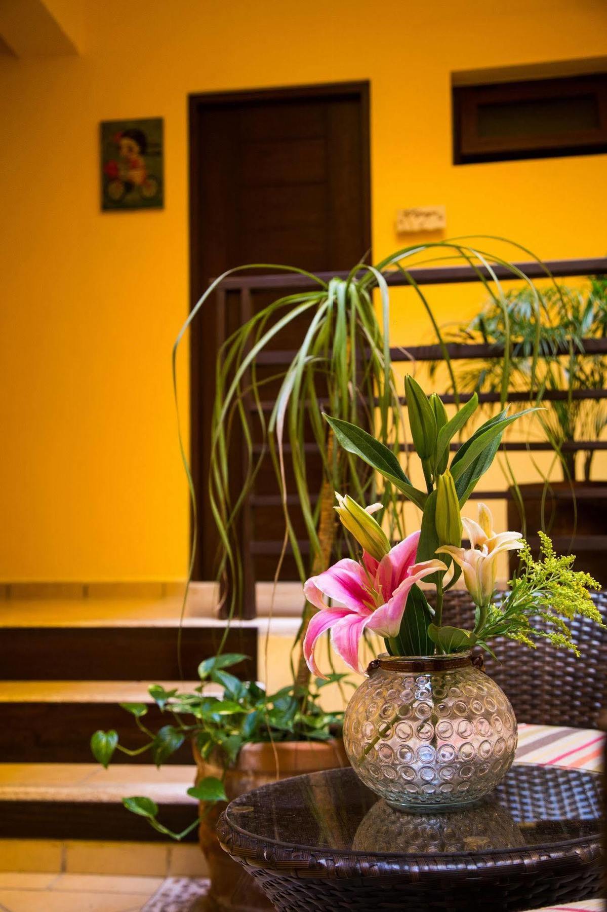 Hotel La Galeria by Bunik Playa del Carmen Exteriér fotografie